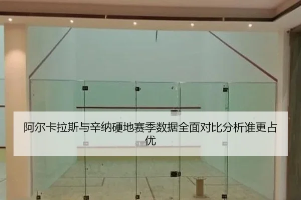 a-er-ka-la-si-yu-xin-na-ying-di-sai-ji-shu-ju-quan-mian-dui-bi-fen-xi-shui-geng-zhan-you-2-208.jpg